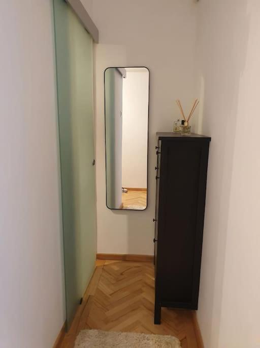 Spacious And Quiet 1Br Apartment In Floreasca บูคาเรสต์ ภายนอก รูปภาพ